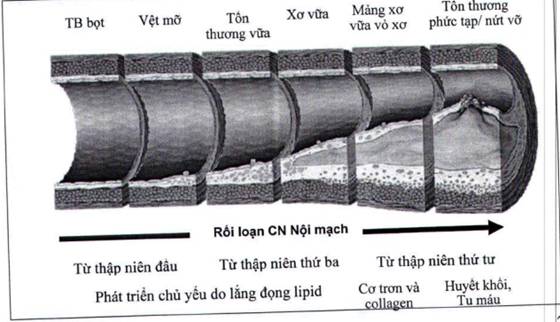 image002_1806173006